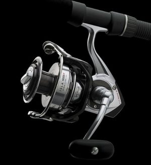 Daiwa Isla_Saltwater Spinning Reel