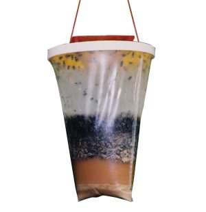 Flies Be Gone - Non Toxic Fly Trap