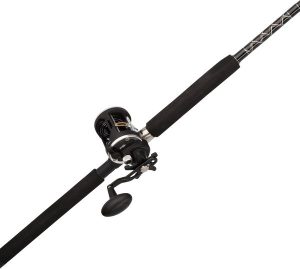 PENN® Rival™ Levelwind Combo
