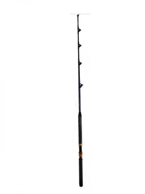Saltwater Fishing Rod Fishing Pole 50-80 Lb All Roller Guides