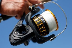 Daiwa BG Spinning Reels_2017