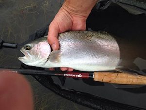 DRAGONtail Tenkara Shadowfire 360 12’