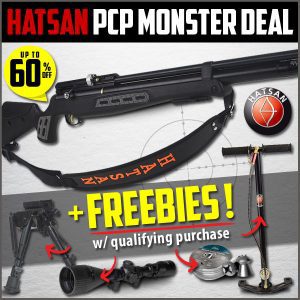 Hatsan AT44S-10 PCP Air Rifle