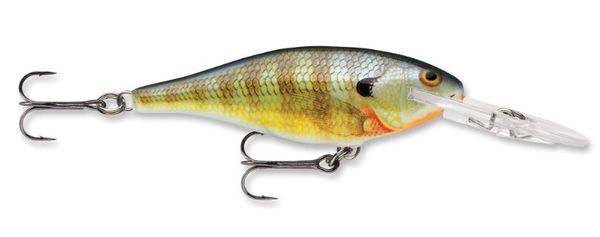 Rapala Shad Rap Hard Bait