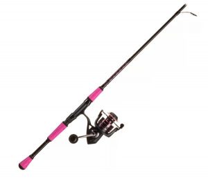 Penn Passion Spinning Combo