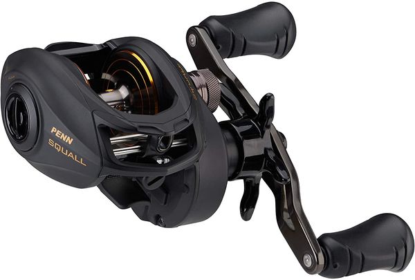 NEW PENN Squall Baitcast Reel