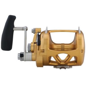 PENN–International® 50VISW 2-Speed Conventional Reel, Gold