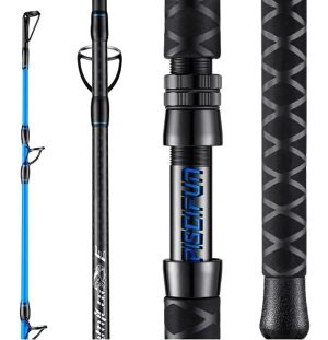 PISCIFUN® Lumicat E Catfish Rods 1 or 2-Piece Casting Rod or Spinning Rod