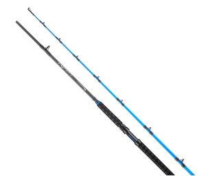 PISCIFUN® Lumicat E Catfish Rods 1 or 2-Piece Casting Rod or Spinning Rod
